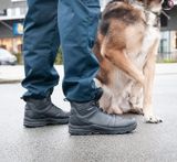  Giày Bảo Vệ Safety Jogger ARMOUR O2 HRO SRC 