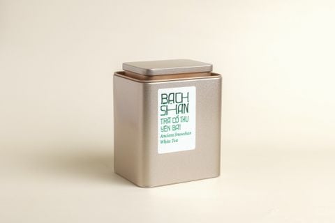 Bạch Shan trà cổ thụ, Yên Bái (Hộp thiếc)