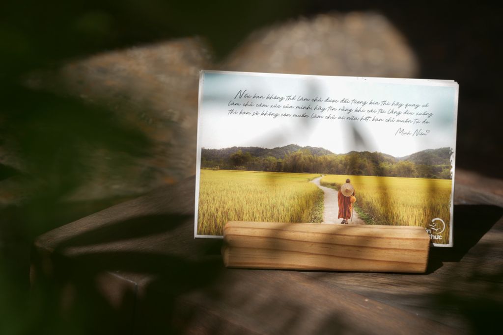 Bộ thiệp Thiền - Thầy Minh Niệm