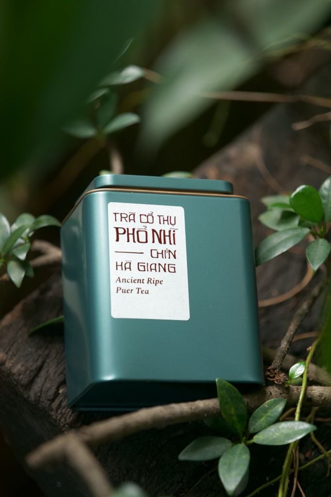 Phổ Nhĩ Chín trà cổ thụ, Hà Giang (Hộp thiếc)