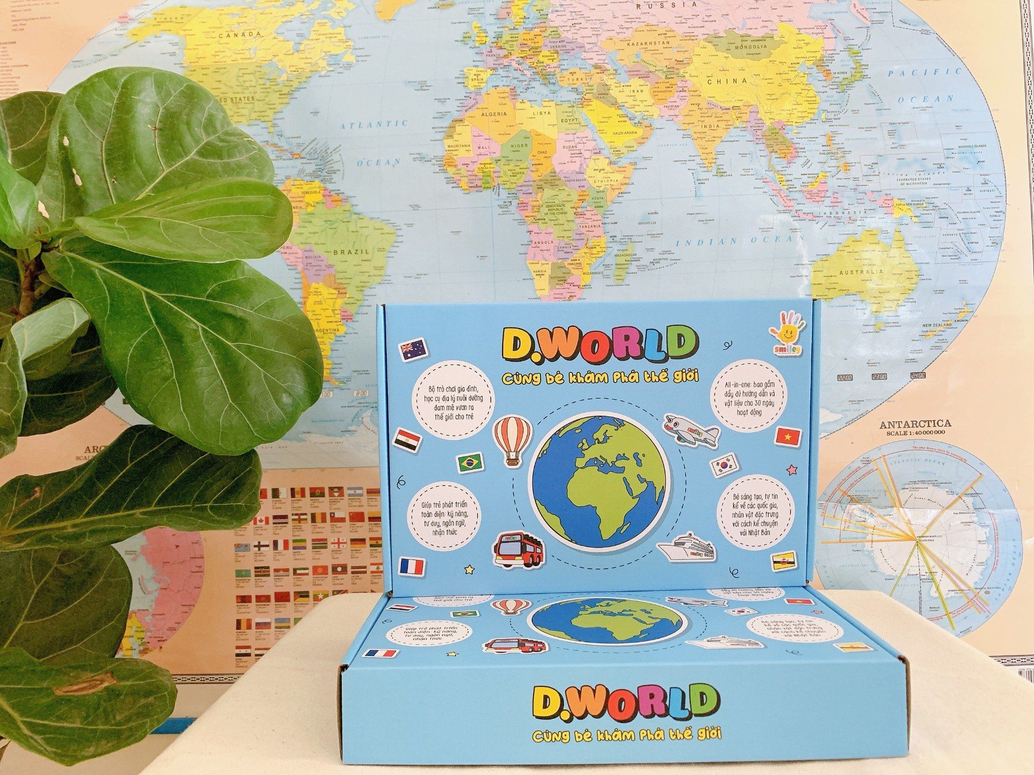  D.World Lễ hội mùa hè 
