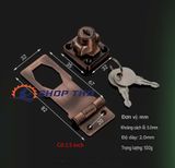  Bộ khóa gài có chìa WITLANG , ổ khóa tủ, khóa hộp dụng cụ cỡ 2.5inch màu đồng xanh 