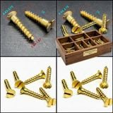 Vít đồng thau M2x16 