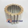  Nam châm hạt tròn D6*4mm 
