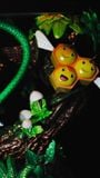  BallBall Studio - Squirtle / Charmander / Bulbasaur - Pokemon 