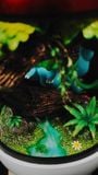  BallBall Studio - Squirtle / Charmander / Bulbasaur - Pokemon 