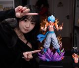  Fusion&Force x WDF Studio - Gogeta - Dragon Ball 