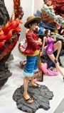  Recast Luffy 