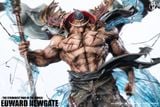  Kuangfeng Studio - Whitebeard - One Piece 