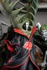  Pickstar studio - Zetsu - Naruto 