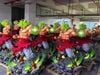  Infinite Studio - Broly 1/2 - Dragon Ball 