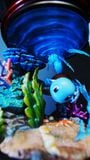  BallBall Studio - Squirtle / Charmander / Bulbasaur - Pokemon 