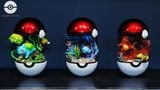  BallBall Studio - Squirtle / Charmander / Bulbasaur - Pokemon 