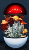  BallBall Studio - Squirtle / Charmander / Bulbasaur - Pokemon 