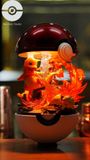  BallBall Studio - Squirtle / Charmander / Bulbasaur - Pokemon 