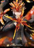  DBS Studio - Sawada Tsunayoshi - Hitman Reborn 