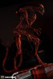  3109 Studio - Scorched Xenomorph 