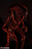  3109 Studio - Scorched Xenomorph 