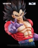  Capsule Studio - Vegeta SSJ4 - Dragon Ball 