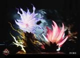 Infernal Affairs Studio - Goku VS Vegeta - Dragon Ball 