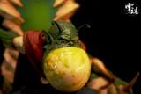  Model Studio - King Piccolo - Dragon Ball 