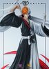  WoYo & Model Power Studio - Ichigo - Bleach 