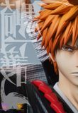  WoYo & Model Power Studio - Ichigo - Bleach 