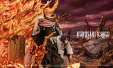  Cross Studio - Ichigo - Bleach 
