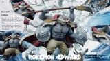  Deserted Island Studio - Infernape Ace & Machamp Edward - One Piece x Pokemon 