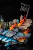  WDF Studio - Future Gohan - Dragon Ball 
