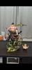  AS Studio - Zoro - One Piece 