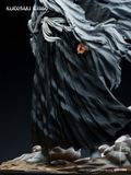  Cross Studio - Ichigo - Bleach 