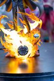  Floating Light Studio - Sawada Tsunayoshi - Reborn 