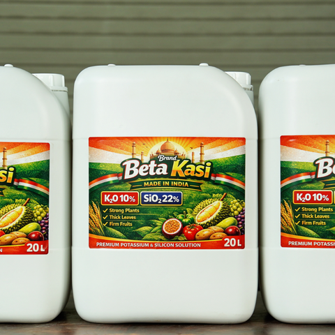  Phân bón lá Kali trung lượng Beta Kasi 