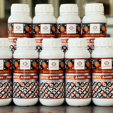  Phân Bón Lá Beta Amin Red - Kali Hữu Cơ + Amino Acid Chai 500ml 