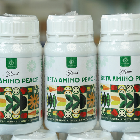  Phân Bón Hữu Cơ Beta Amino Peace - Nhập Khẩu Thổ Nhĩ Kỳ 
