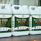  Phân Bón Hữu Cơ Amino Beta Amino Plus+ Nhập Khẩu Tây Ban Nha Can 5L 