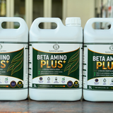 Phân Bón Hữu Cơ Amino Beta Amino Plus+ Nhập Khẩu Tây Ban Nha Can 5L 