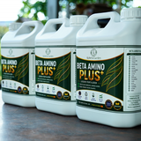  Phân Bón Hữu Cơ Amino Beta Amino Plus+ Nhập Khẩu Tây Ban Nha Can 5L 