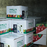  Phân Bón Lá Trung Vi Lượng - Beta Combi Nhập Khẩu Châu Âu - Túi 1kg 