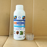  Beta Fosika Pro Phân Bón Lân 2 Chiều Nhập Khẩu Thổ Nhĩ Kỳ Chai 1L 