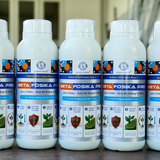  Beta Fosika Pro Phân Bón Lân 2 Chiều Nhập Khẩu Thổ Nhĩ Kỳ Chai 1L 