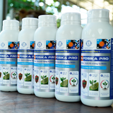  Beta Fosika Pro Phân Bón Lân 2 Chiều Nhập Khẩu Thổ Nhĩ Kỳ Chai 1L 