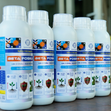  Beta Fosika Pro Phân Bón Lân 2 Chiều Nhập Khẩu Thổ Nhĩ Kỳ Chai 1L 