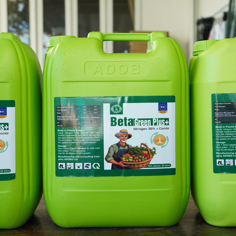  Phân Bón Lá Đạm Trung Vi Lượng - Beta Green Plus Nhập Khẩu Châu Âu 