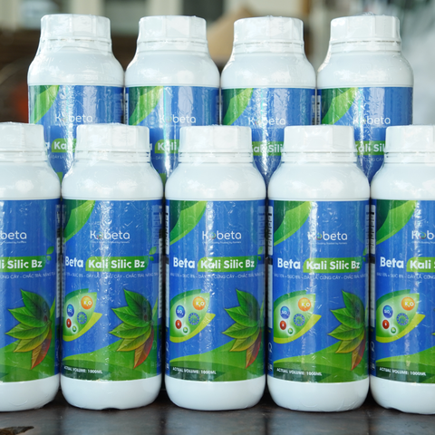  Phân Bón Vi Lượng Beta Kali Silic Bz - Kali 15% + Silic 8% Chai 1000ml 