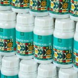  Phân Bón Lá Đạm Trung Vi Lượng Beta Nutri N36 + TE - Nhập Khẩu Thổ Nhĩ Kỳ 