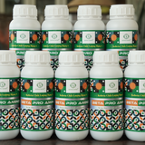  Phân Bón Hữu Cơ Beta Pro Amino - 100% Amino Động Vật Chai 500ml 