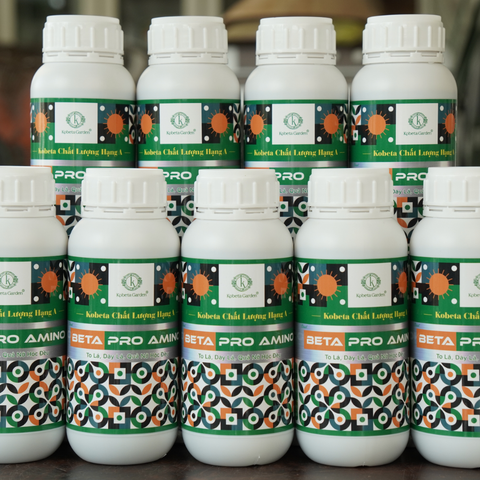  Phân Bón Hữu Cơ Beta Pro Amino - 100% Amino Động Vật Chai 500ml 