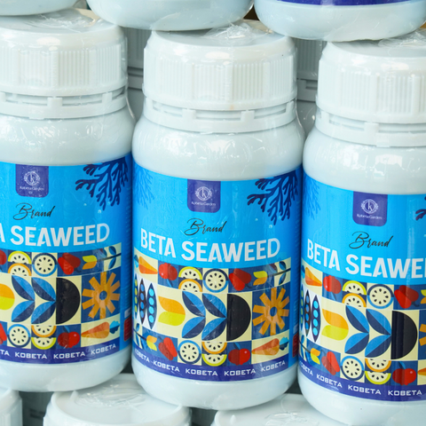  Phân Bón Lá Hữu Cơ Tảo Biển - Beta Seaweed  Nhập Khẩu Châu Âu - Chai 500ml 